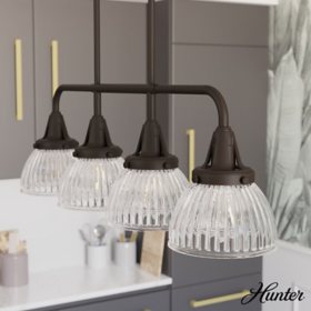 Hunter Cypress Grove with Clear Holophane Glass 4 Light Chandelier Ceiling Light Fixture 