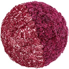 Member's Mark Carnations, Choose color and stem count