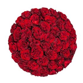 Member's Mark Ecuadorian Premium Roses, choose color variety and stem count