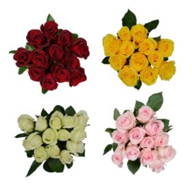 Member's Mark Premium Dozen Roses, assorted colors, 12 stems